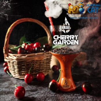 Заказать кальянный табак BlackBurn Cherry Garden (БлэкБерн Черри Гарден) 100г онлайн с доставкой всей России